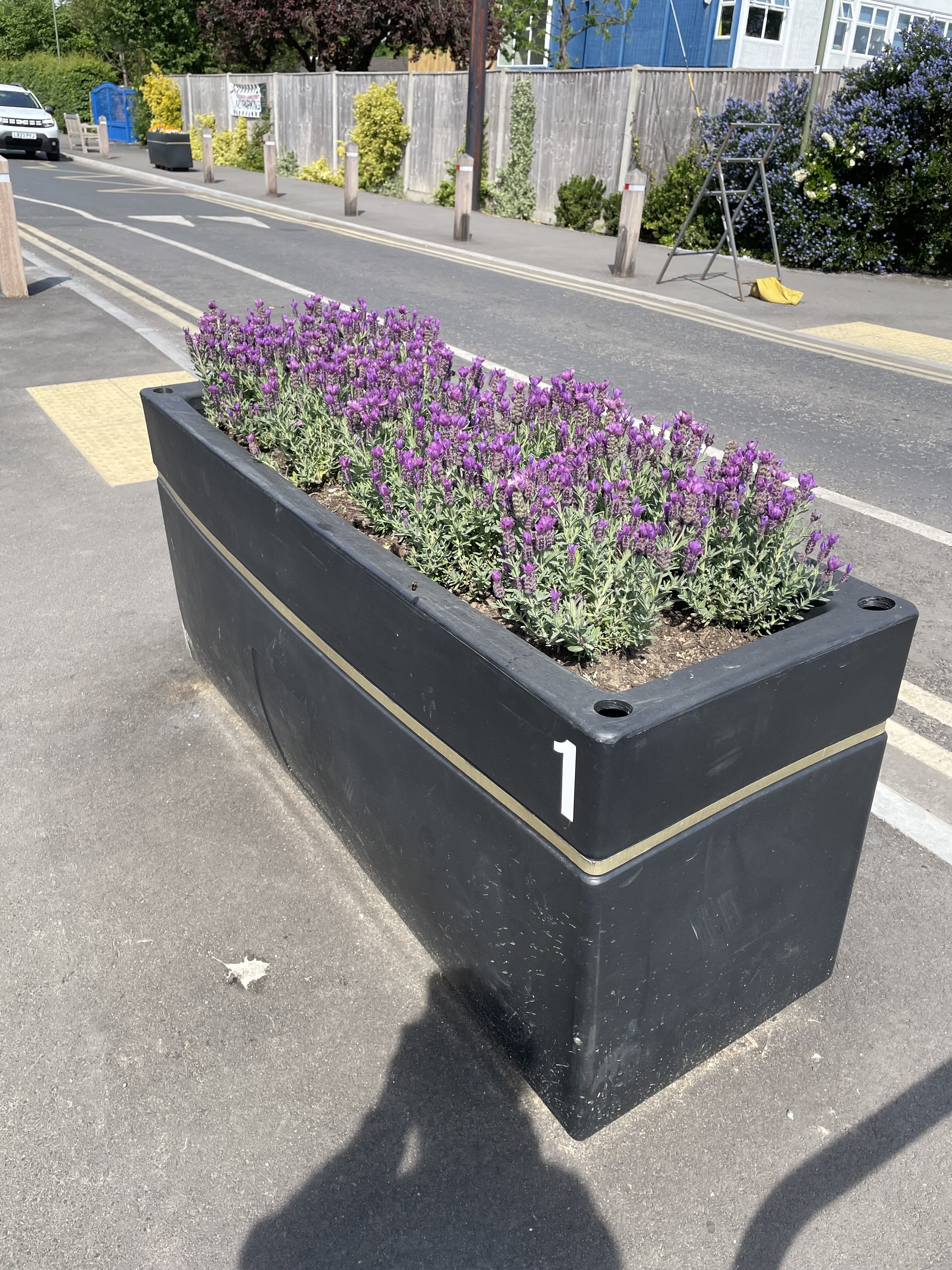 Wheelers Lane Gardening